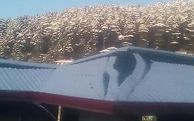 Mountain And Moon, Dharamkot